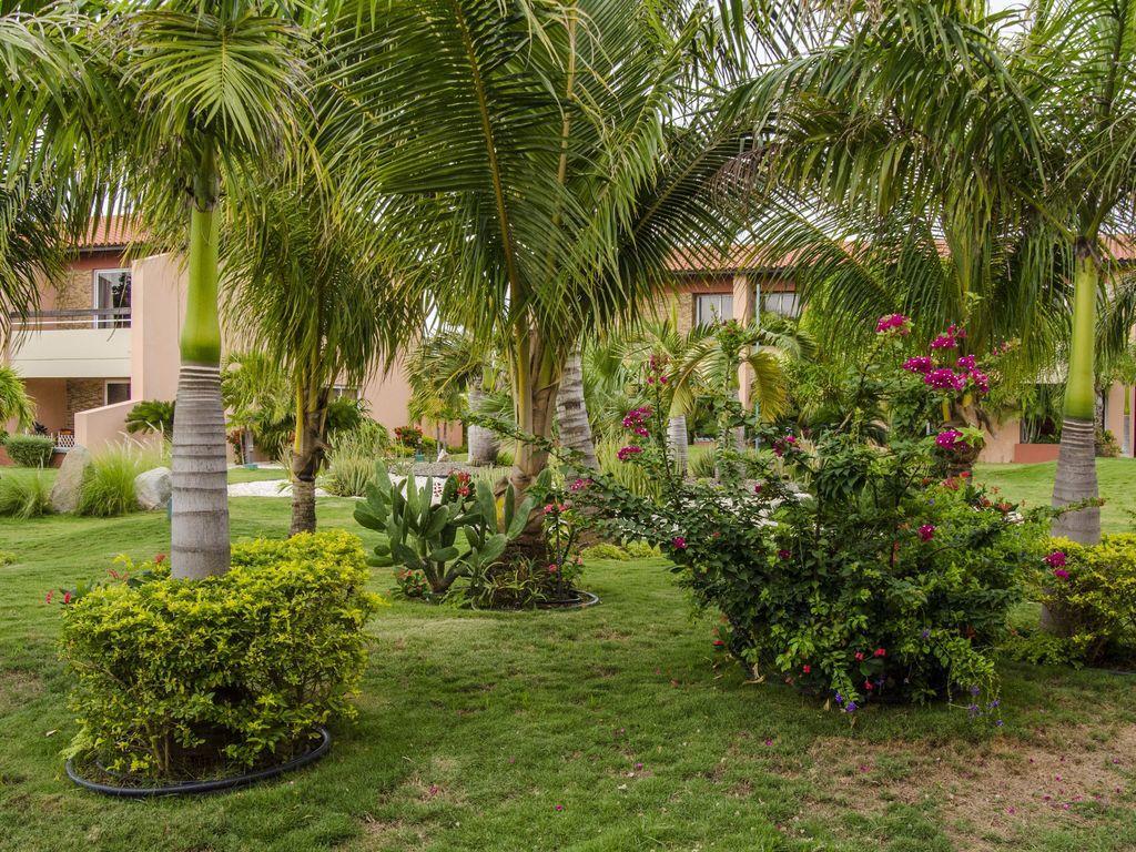 Aruba , Eagle Beach Townhouse Palm Beach Exterior photo